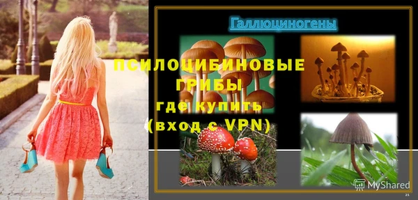 spice Каменногорск