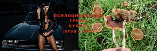 первитин Каменск-Шахтинский