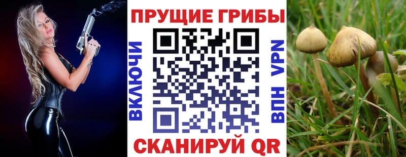 Купить закладки  Балей  Псилоцибиновые грибы Psilocybine cubensis 